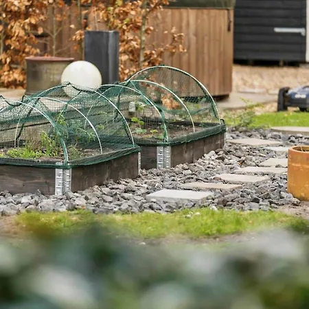 Lf10058-thyholm-fyrrevej-17 Thyholm